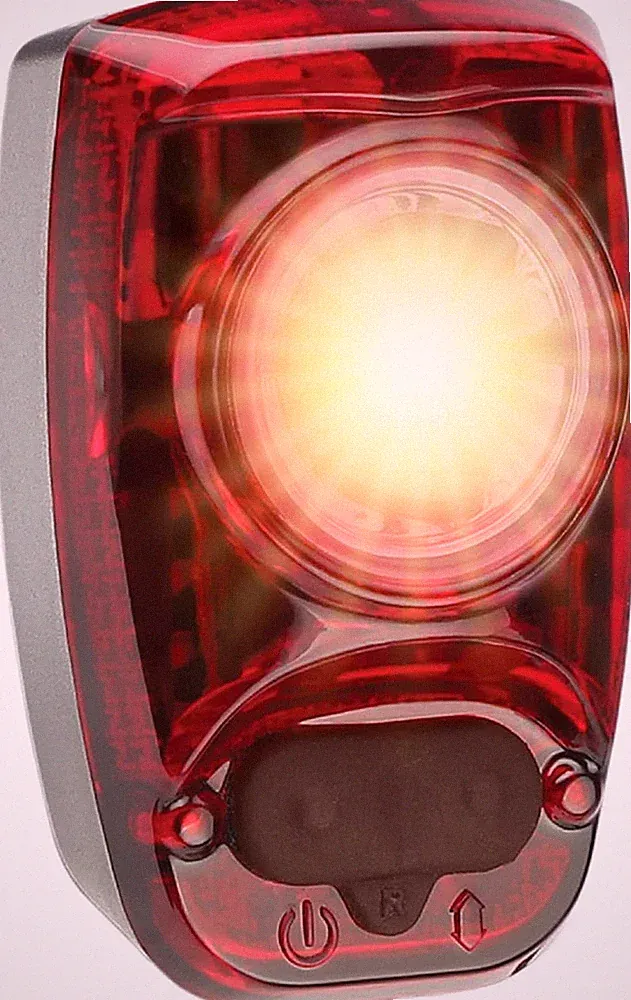 Taillight Adult